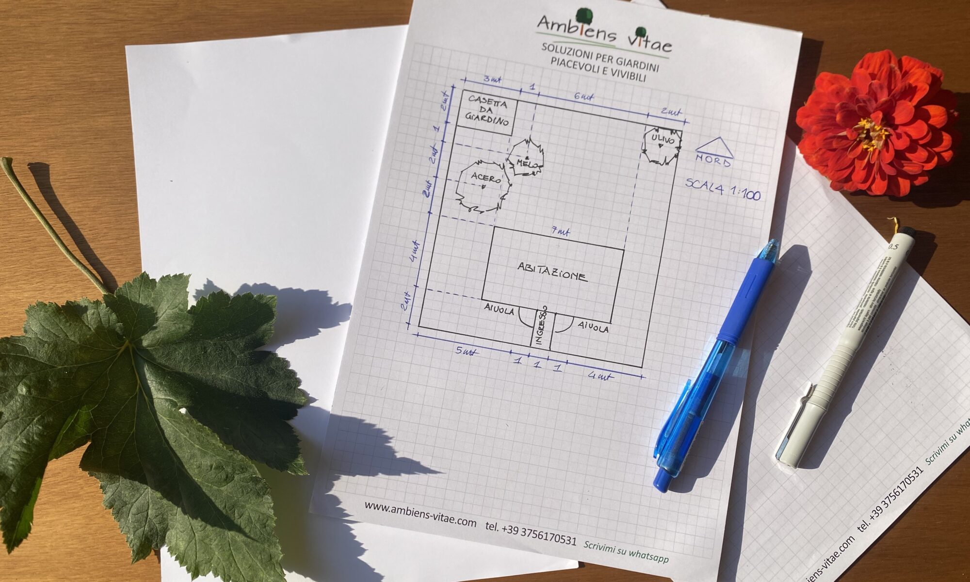 Planimetria della situazione esistente per cambiare il tuo giardino